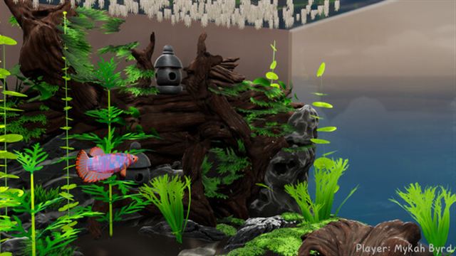 Tải game Fish Game v00.02.62-P2P