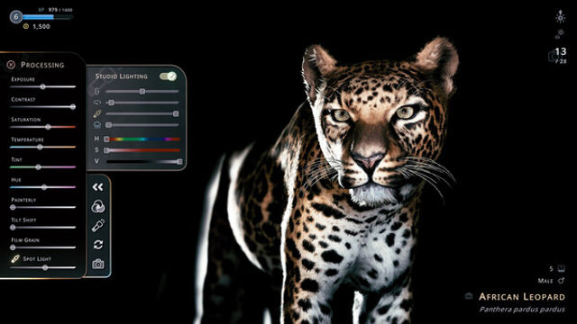 Tải game Seclusa-GoldBerg