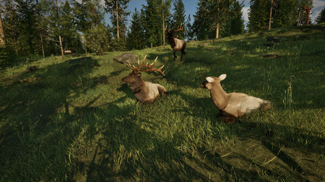 Tải game Rangers Path National Park Simulator Early Access