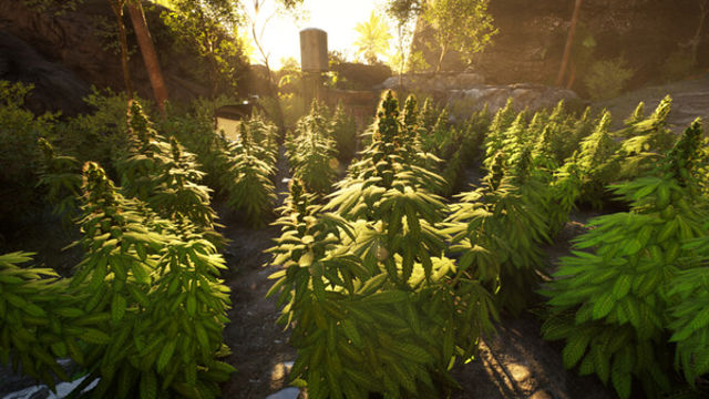 Tải game Weed Shop 4 Highland Early Access