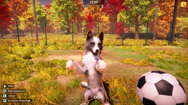 Tải game Animal Shelter 2 v1.0.32-P2P