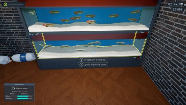 Tải game Exotica 2 Pet Shop Simulator-TENOKE