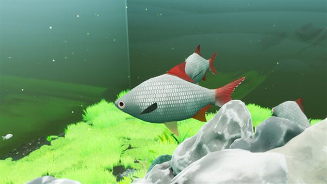 Tải game Fish Game Indonesia Fish Pack 1-TENOKE