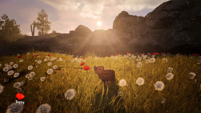 Tải game Adorable Adventures v1.1.0.8760-P2P