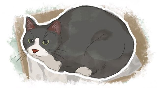 Tải game Dear me I was-TENOKE