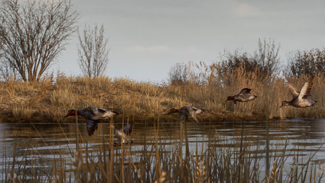 Tải game BULT Hunting Simulator Early Access