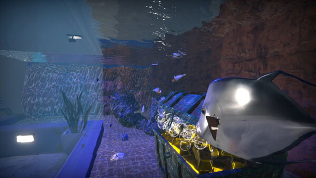 Tải game Aquarist American Fish-TENOKE