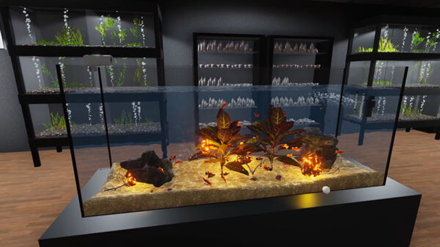 Tải game Aquarist American Fish-TENOKE