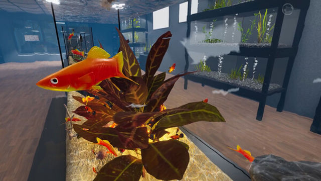 Tải game Aquarist American Fish-TENOKE