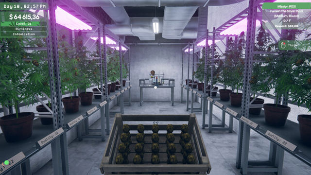 Tải game Weed Supermarket Simulator Early Access