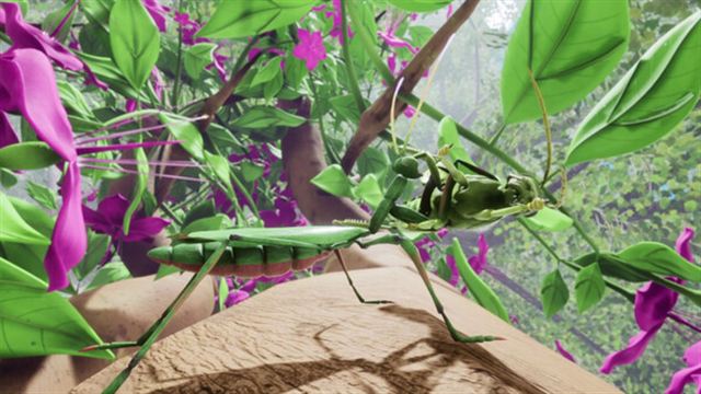 Tải game Nature And Life Drunk On Nectar v1.0.4.3-P2P