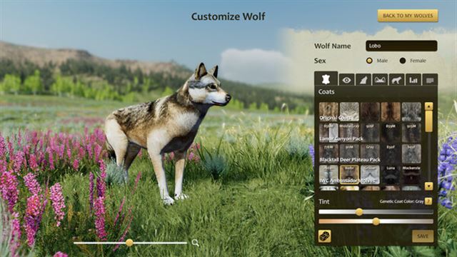 Tải game WolfQuest Anniversary Edition v3.0.1d-P2P